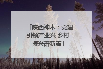 陕西神木：党建引领产业兴 乡村振兴谱新篇