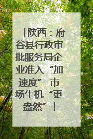 陕西：府谷县行政审批服务局企业准入“加速度” 市场生机“更盎然”