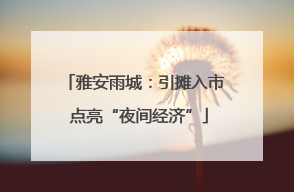 雅安雨城：引摊入市 点亮“夜间经济”