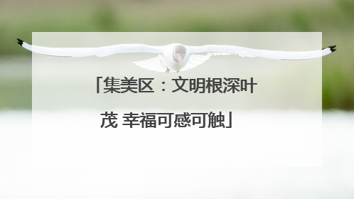 集美区：文明根深叶茂 幸福可感可触