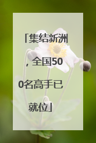 集结新洲，全国500名高手已就位