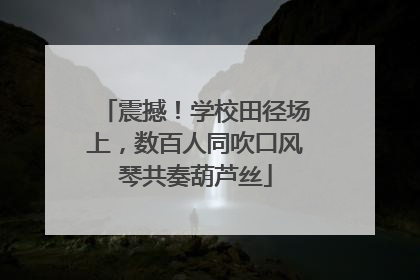 震撼！学校田径场上，数百人同吹口风琴共奏葫芦丝
