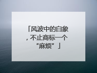 风波中的白象，不止商标一个“麻烦”