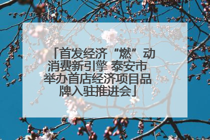 首发经济“燃”动消费新引擎 泰安市举办首店经济项目品牌入驻推进会