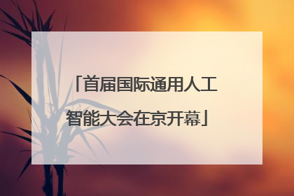 首届国际通用人工智能大会在京开幕