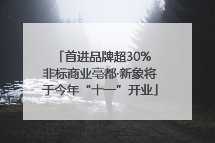 首进品牌超30% 非标商业亳都·新象将于今年“十一”开业