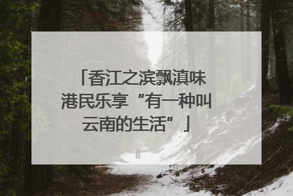 香江之滨飘滇味 港民乐享“有一种叫云南的生活”