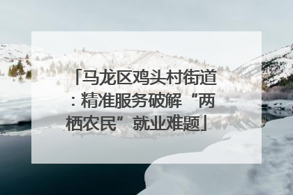 马龙区鸡头村街道：精准服务破解“两栖农民”就业难题