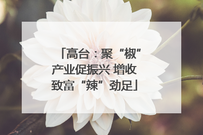 高台：聚“椒”产业促振兴 增收致富“辣”劲足