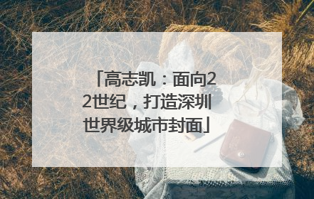 高志凯：面向22世纪，打造深圳世界级城市封面