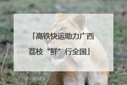 高铁快运助力广西荔枝“鲜”行全国