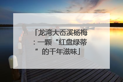 龙湾大岙溪杨梅：一颗“红盘绿蒂”的千年滋味
