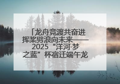 龙舟竞渡共奋进 挥桨劈浪向未来——2025“洋河·梦之蓝”杯宿迁端午龙舟赛侧记