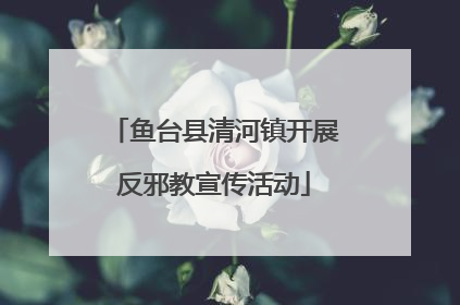 鱼台县清河镇开展反邪教宣传活动
