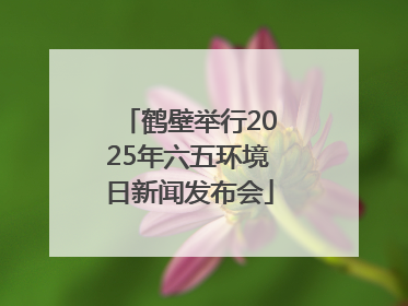 鹤壁举行2025年六五环境日新闻发布会