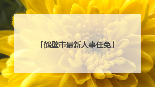 鹤壁市最新人事任免