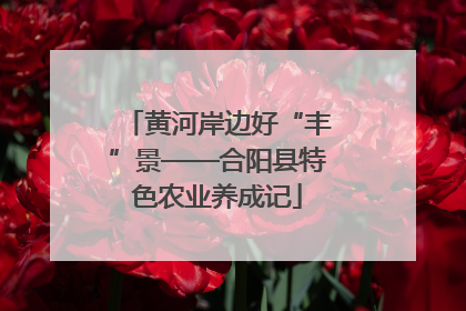 黄河岸边好“丰”景——合阳县特色农业养成记