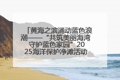 黄海之滨涌动蓝色浪潮——“共筑美丽海湾 守护蓝色家园”2025海洋保护净滩活动暨“美丽江苏—江河湖海青蓝行”海洋篇在连云港举行
