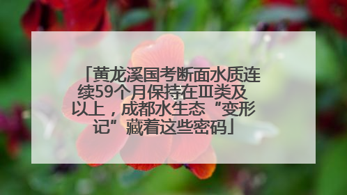 黄龙溪国考断面水质连续59个月保持在Ⅲ类及以上，成都水生态“变形记”藏着这些密码