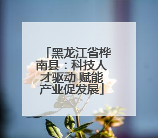 黑龙江省桦南县：科技人才驱动 赋能产业促发展