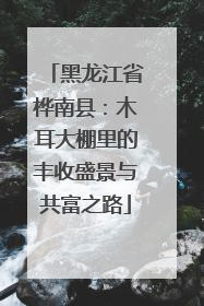 黑龙江省桦南县：木耳大棚里的丰收盛景与共富之路