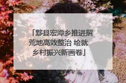黟县宏潭乡推进撂荒地高效整治 绘就乡村振兴新画卷