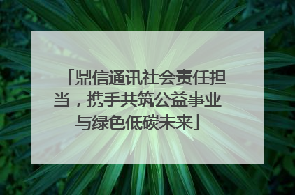 鼎信通讯社会责任担当，携手共筑公益事业与绿色低碳未来