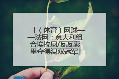 （体育）网球——法网：意大利组合埃拉尼/瓦瓦索里夺得混双冠军