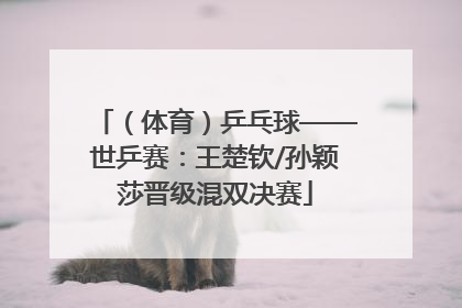 （体育）乒乓球——世乒赛：王楚钦/孙颖莎晋级混双决赛
