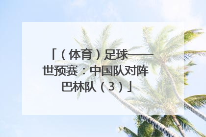 （体育）足球——世预赛：中国队对阵巴林队（3）