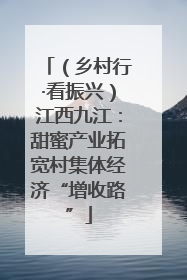 （乡村行·看振兴）江西九江：甜蜜产业拓宽村集体经济“增收路”