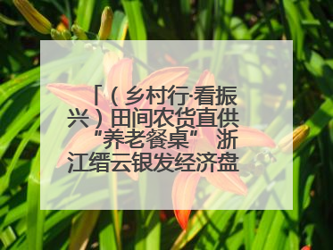 （乡村行·看振兴）田间农货直供“养老餐桌” 浙江缙云银发经济盘活山区资源
