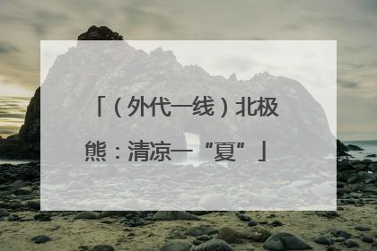 （外代一线）北极熊：清凉一“夏”