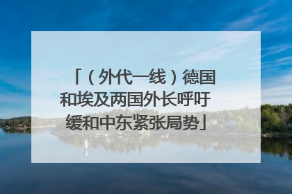 （外代一线）德国和埃及两国外长呼吁缓和中东紧张局势