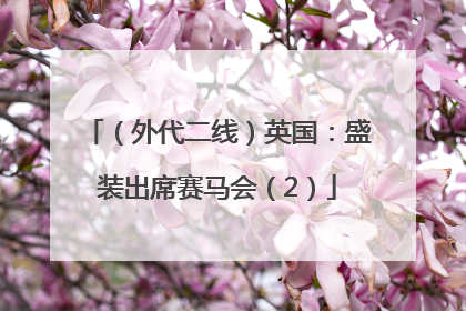 （外代二线）英国：盛装出席赛马会（2）