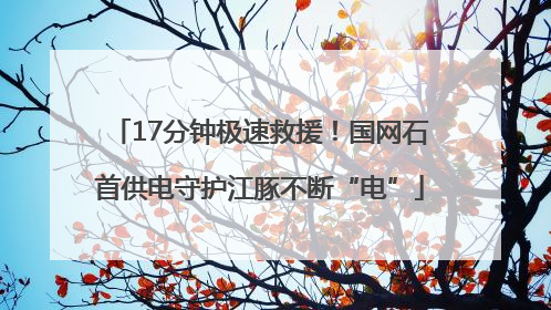 17分钟极速救援！国网石首供电守护江豚不断“电”