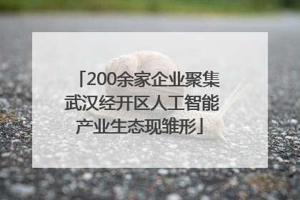200余家企业聚集 武汉经开区人工智能产业生态现雏形
