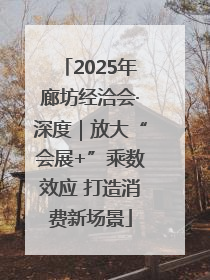 2025年廊坊经洽会·深度｜放大“会展+”乘数效应 打造消费新场景