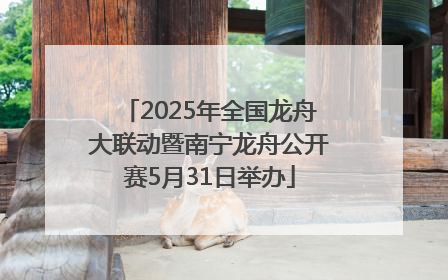 2025年全国龙舟大联动暨南宁龙舟公开赛5月31日举办
