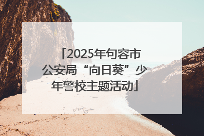 2025年句容市公安局“向日葵”少年警校主题活动