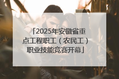 2025年安徽省重点工程职工（农民工）职业技能竞赛开幕