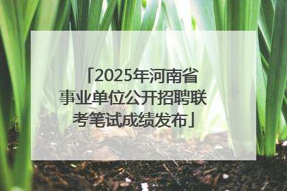 2025年河南省事业单位公开招聘联考笔试成绩发布