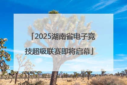 2025湖南省电子竞技超级联赛即将启幕