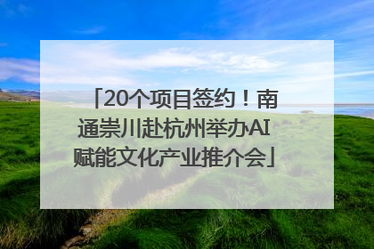 20个项目签约！南通崇川赴杭州举办AI赋能文化产业推介会