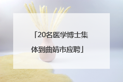20名医学博士集体到曲靖市应聘