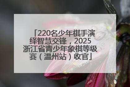 220名少年棋手演绎智慧交锋，2025浙江省青少年象棋等级赛（温州站）收官