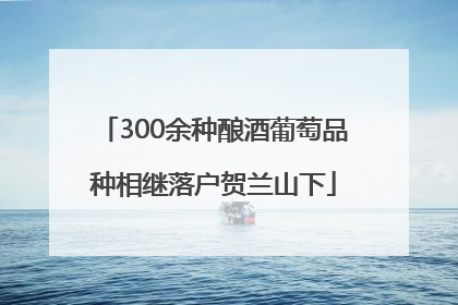 300余种酿酒葡萄品种相继落户贺兰山下