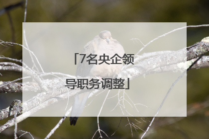 7名央企领导职务调整