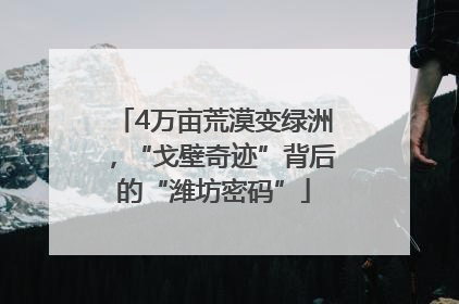 4万亩荒漠变绿洲，“戈壁奇迹”背后的“潍坊密码”