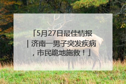 5月27日最佳情报｜济南一男子突发疾病，市民跪地施救！